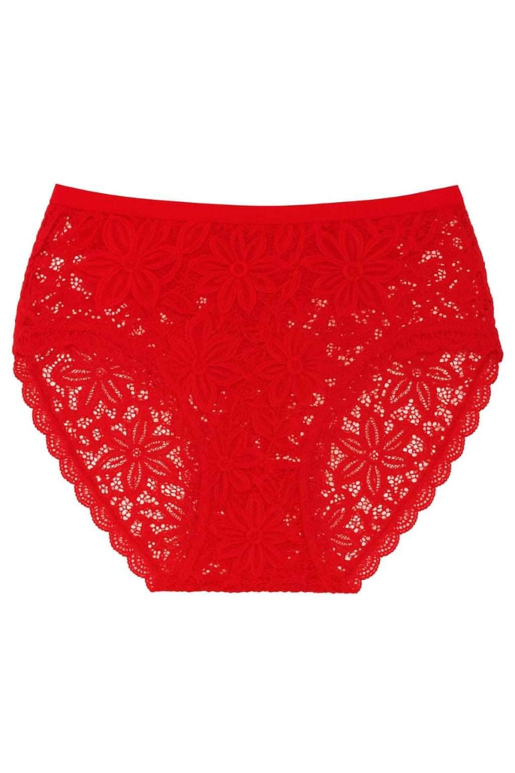 Culotte dentelle, 12 coloris - vue 7