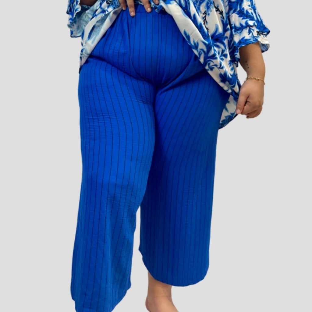 Pantalon Améliane à Rayures Tailles 46/48 à 58/60 - vue 4
