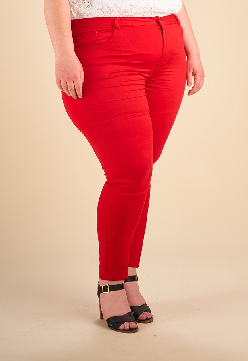 PANTALON FERRARE - vue 2
