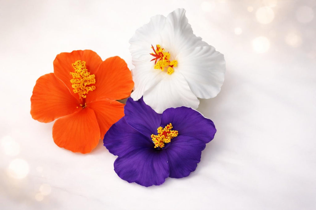 Pince Fleur Hibiscus